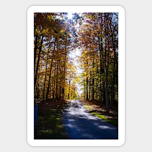 Sunny Fall Road Sticker